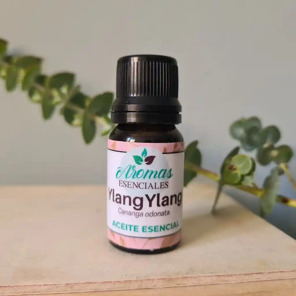 Ylang