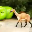 Figura De Dinosaurios Macrauquenia Colección Niños Y Niñas