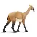 Figura De Dinosaurios Macrauquenia Colección Niños Y Niñas