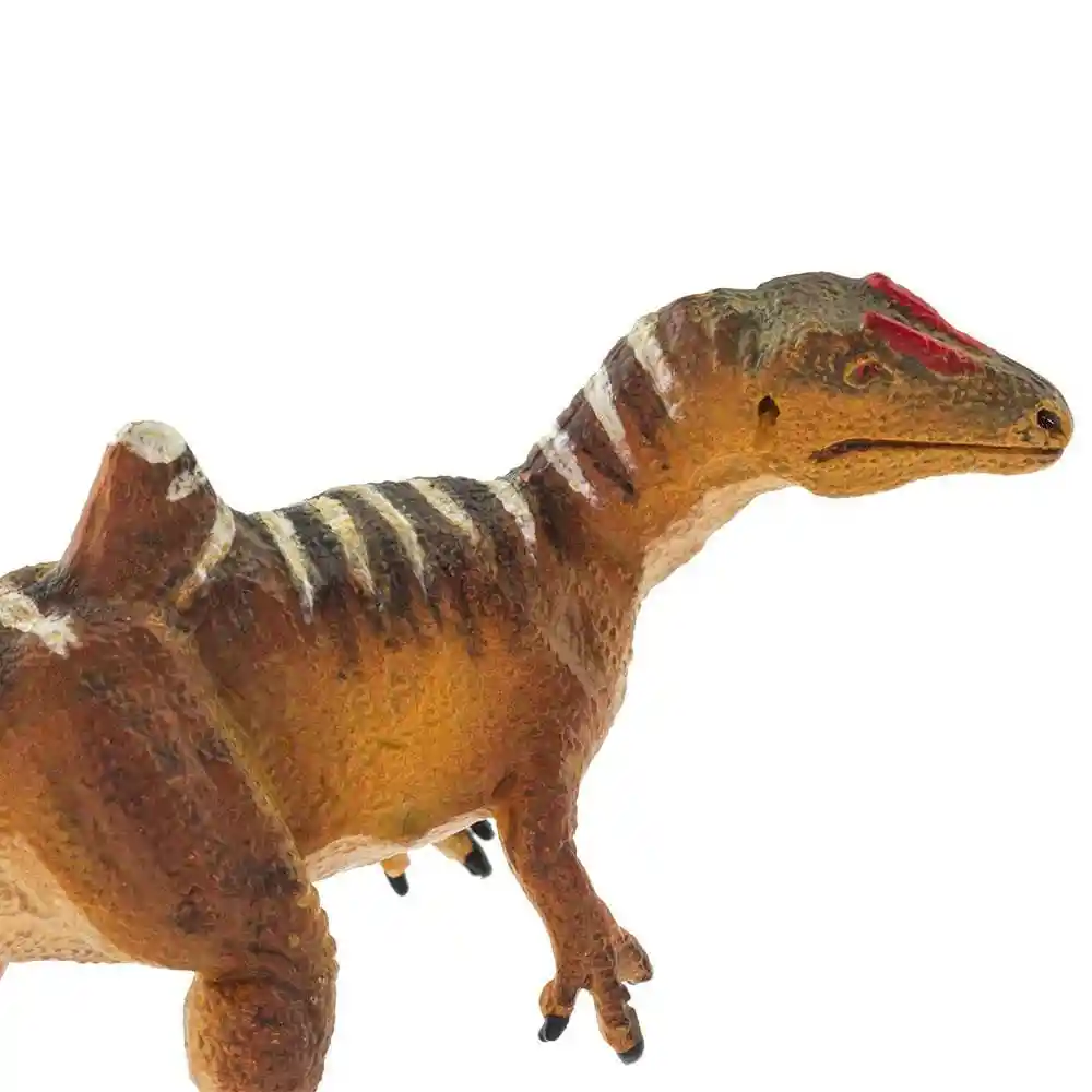 Figura De Dinosaurios Concavenator Colección Niños Y Niñas