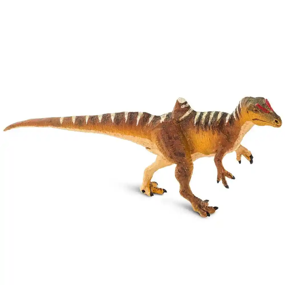 Figura De Dinosaurios Concavenator Colección Niños Y Niñas