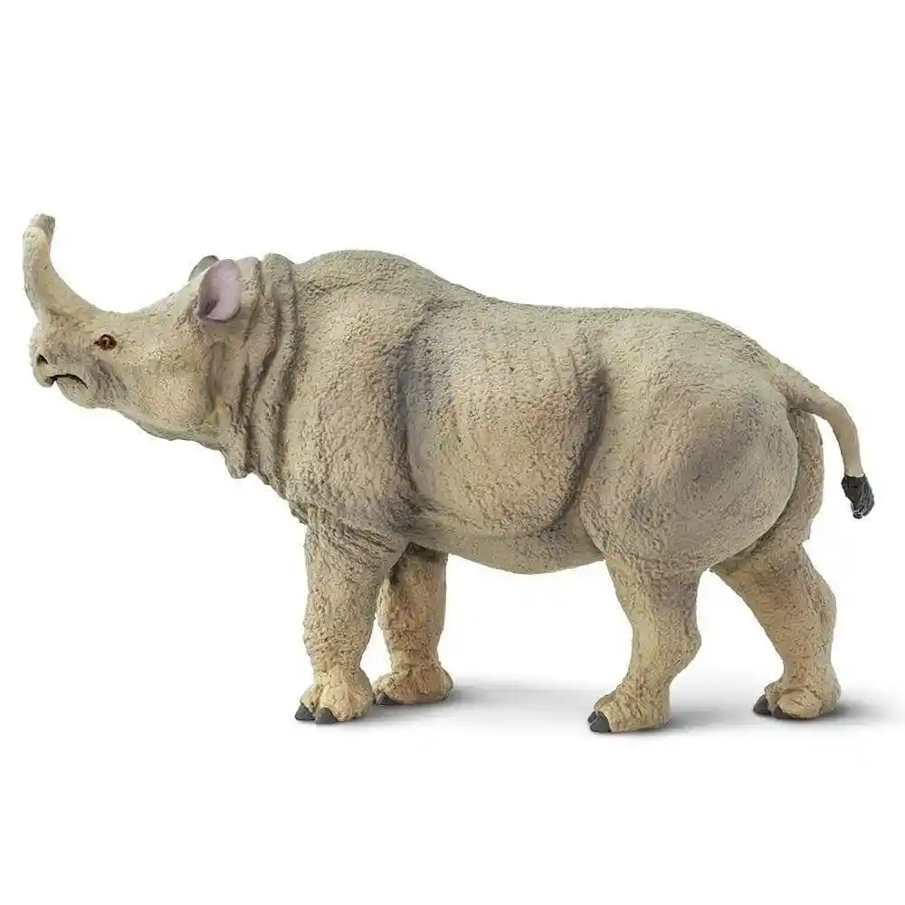 Figura De Dinosaurios Megacerops Colección Niños Y Niñas