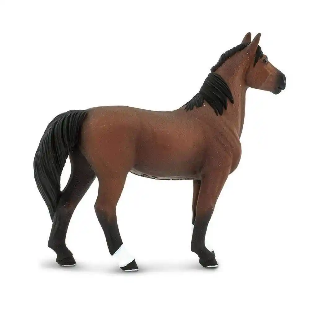 Figura Animal Caballo Morgan Stallion Colección Niño Y Niña