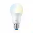 Wiz Bombillo Led Inteligente A19 Wi-fi Luz Fria Y Calida Pack X3