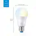 Wiz Bombillo Led Inteligente A19 Wi-fi Luz Fria Y Calida Pack X3