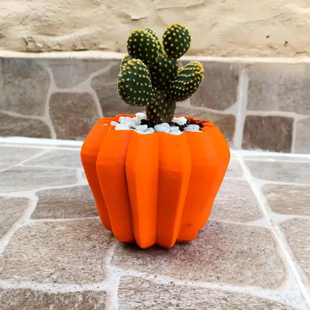 Maceta Flor De Loto Para Suculentas Y Cactus