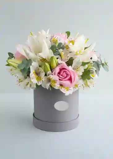 Caja De Flores, Rosas, Astromelias, Lirios