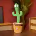 Cactus Vailarin