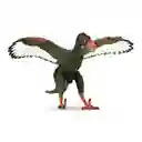 Figura Dinosaurios Arqueópterix Colección Niños Y Niñas