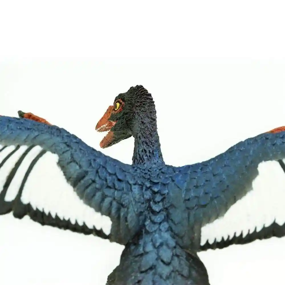 Figura Dinosaurios Arqueópterix Colección Niños Y Niñas