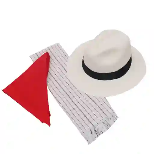 Sombrero Aguadeño Poncho Paisa Y Rabo De Gallo Pañoleta 2 A 4 Años