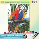 Kit De Arte Guacamayas