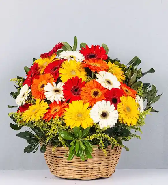 Gerberas En Canasta Momentos