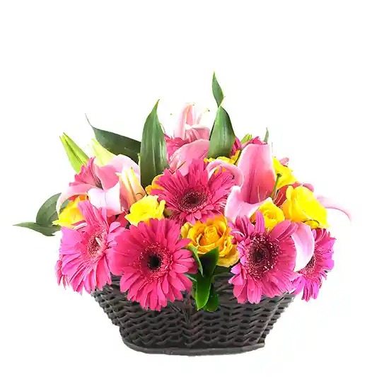 Gerberas, Lirios Y Gerberas Rosadas