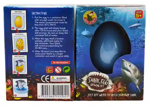 Huevo Tiburon Shark Egg
