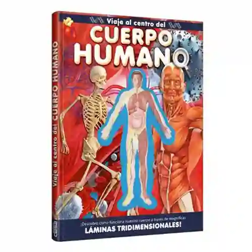 Viaje Al Centro Del Cuerpo Humano