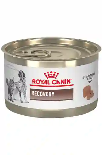 Royal Canin® Recovery Wet 145 G