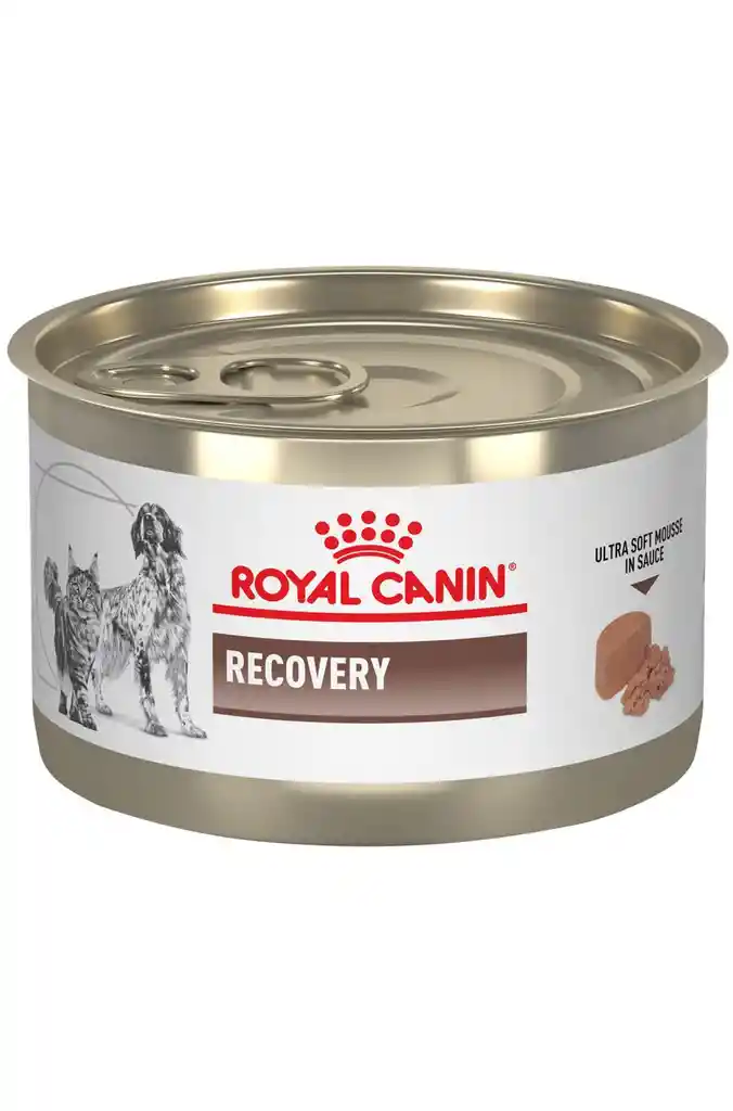 Royal Canin® Recovery Wet 145 G