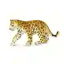 Figura Animales Leopardo Bebé Colección Para Niños Y Niñas