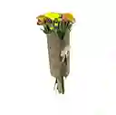 Caja Maletín Pompones