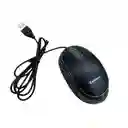 Mouse Alambrico Usb 2.0 Jertech Delicate Mt300