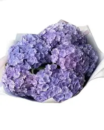 Hortensia En Bouquet