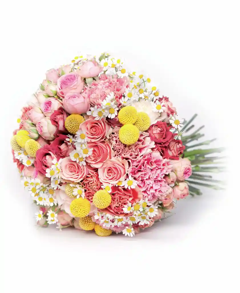 Rosas, Clavel, Margaritas Colores Pastel