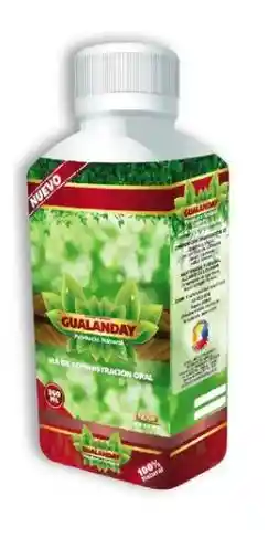 Gualanday Jarabe 360ml