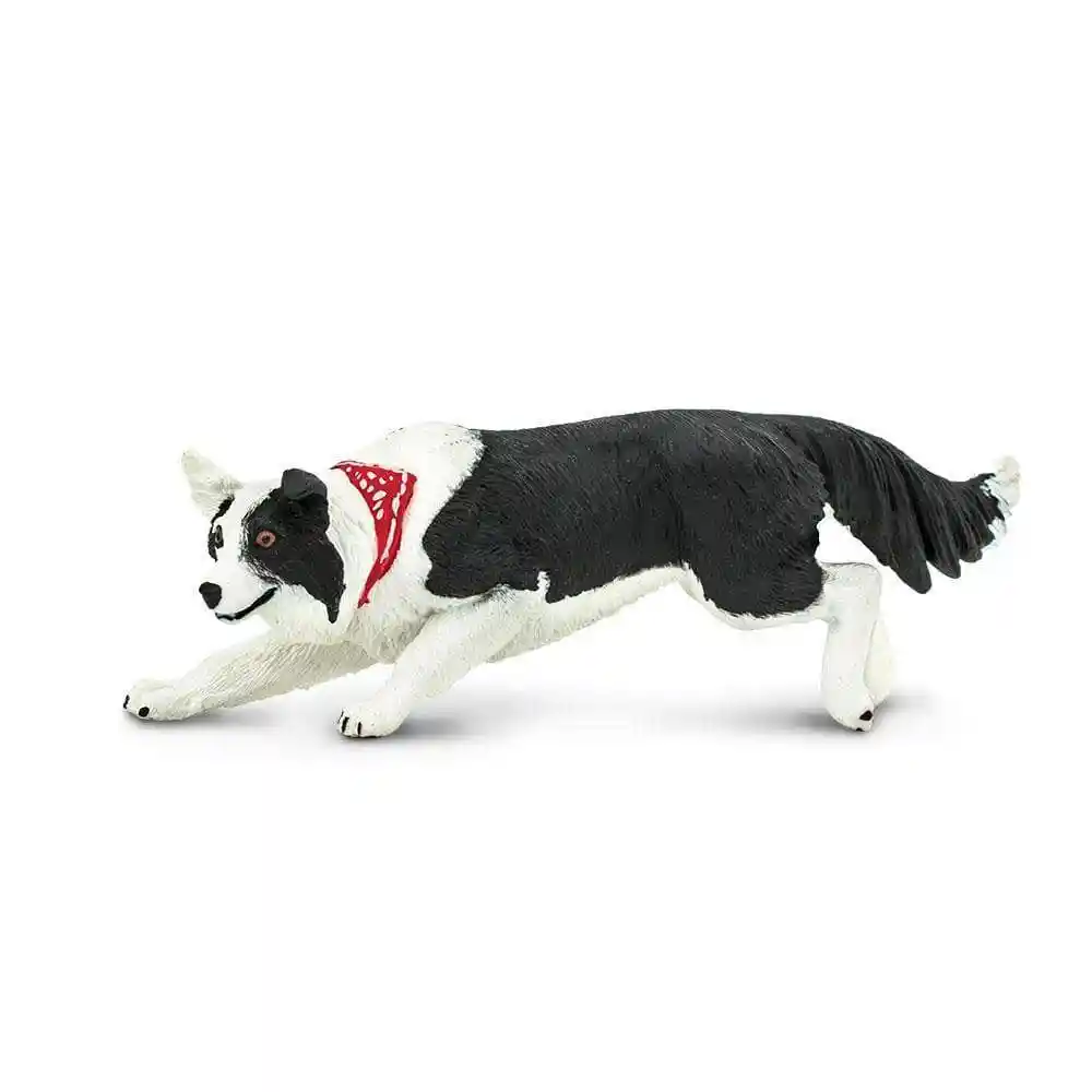 Figura De Animales Border Collie Colección Niños Y Niñas