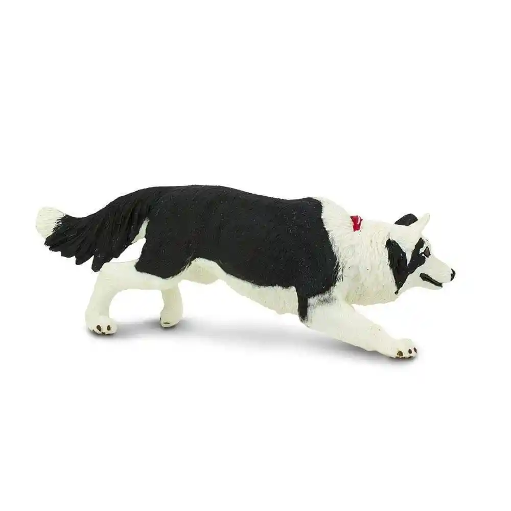 Figura De Animales Border Collie Colección Niños Y Niñas