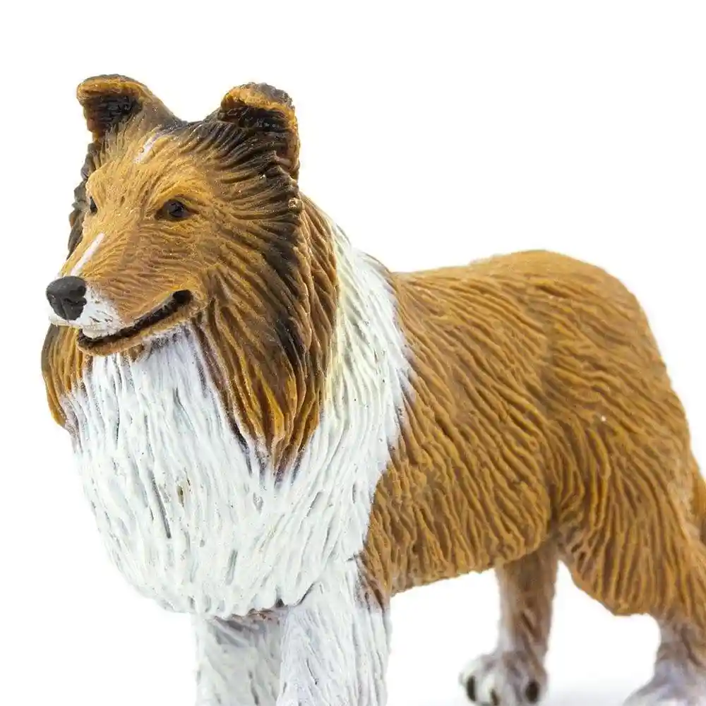 Figura De Animales Perro Collie Colección Para Niños Y Niñas