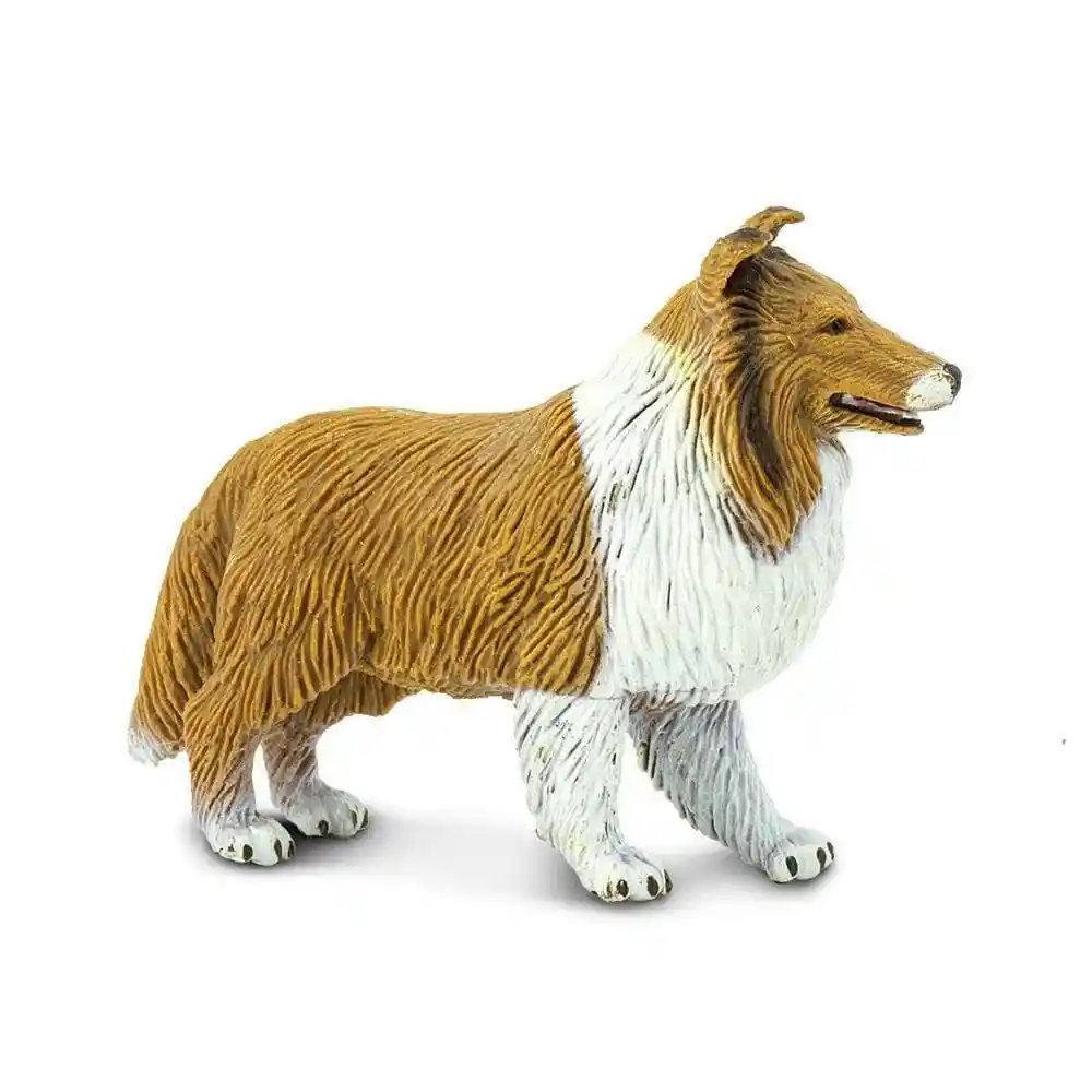 Figura De Animales Perro Collie Colección Para Niños Y Niñas