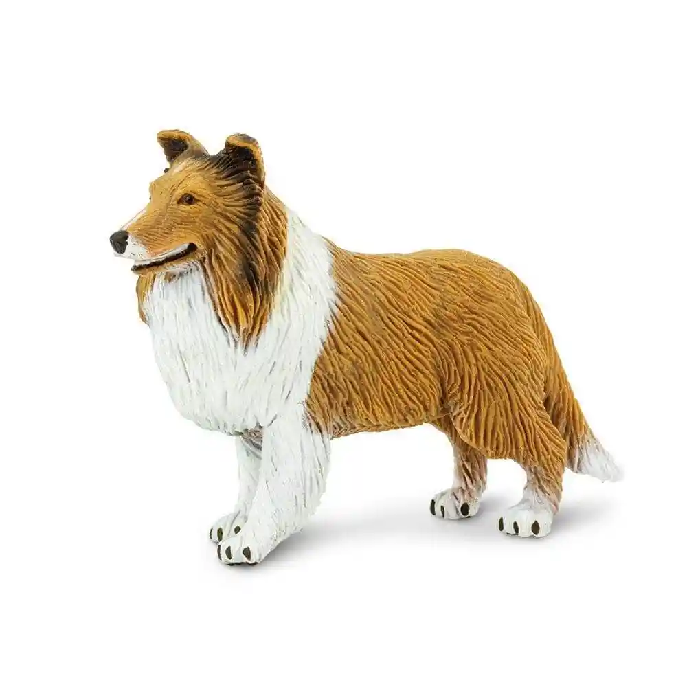 Figura De Animales Perro Collie Colección Para Niños Y Niñas