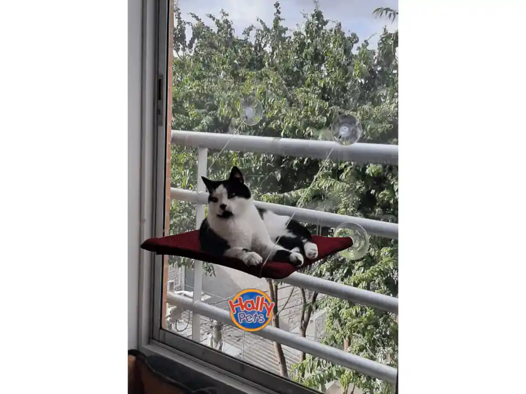 Dos Cama Hamaca Para Gatos En Ventanas X 2 Unidades