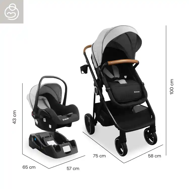 Coche Travel System Cosmos Gray