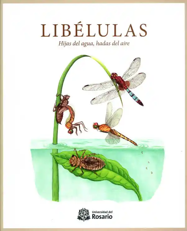 Libélulas