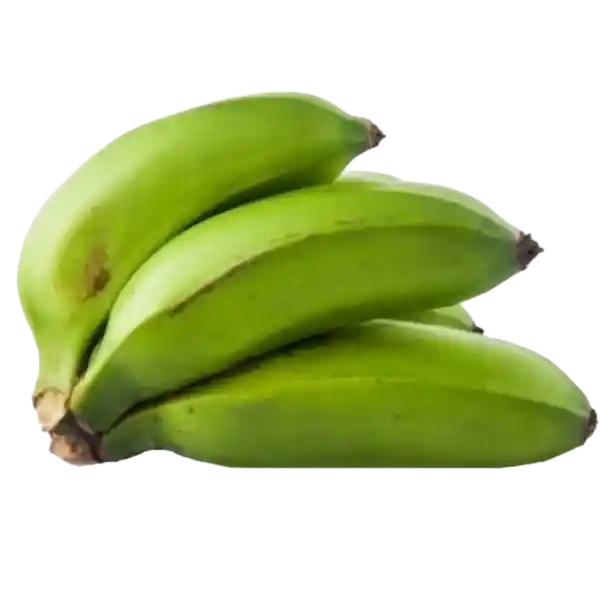 Platano Colicero