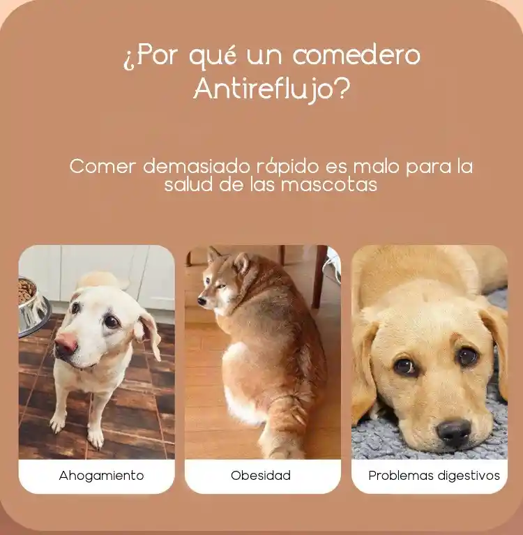 Comedero Antireflujo Mascotas Glotones