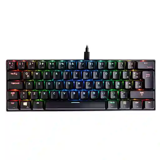 Teclado Mintaka Vsg