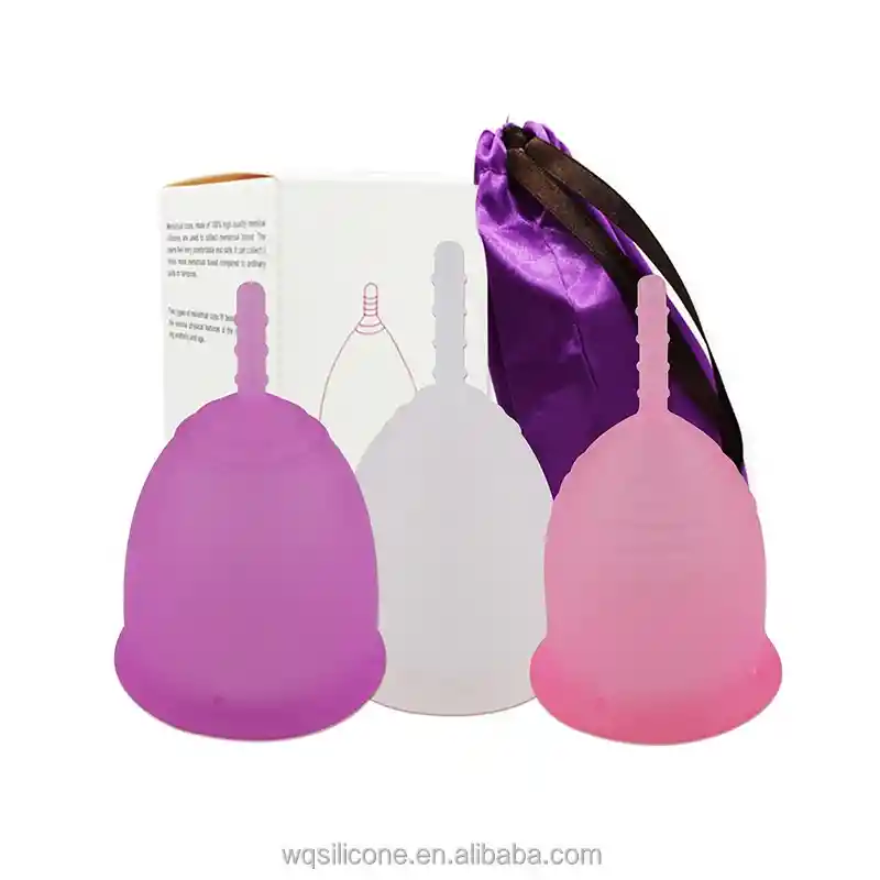 Esterilizador Copa Menstrual A Vapor + Copa S Y L + Funda + Estuche Y Pomo Limpieza