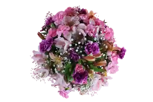 Clavel Y Astromelias Expresión Floral