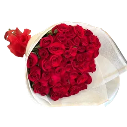 Rosas Rojas Enamorados