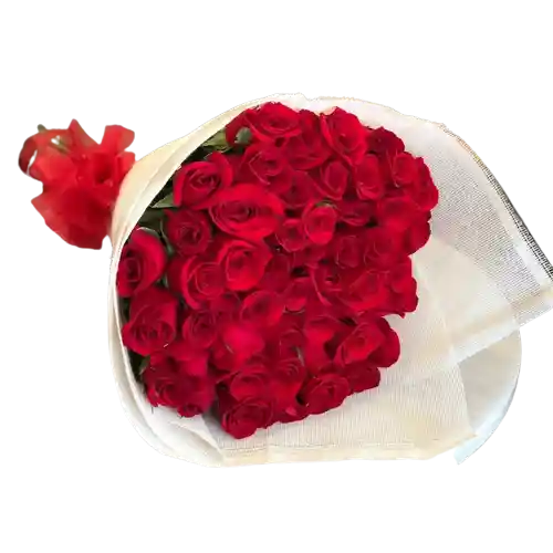 Rosas Rojas Enamorados