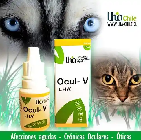  Oculv LHA 