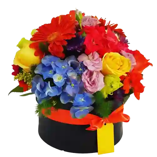 Florales Para Regalar En Caja