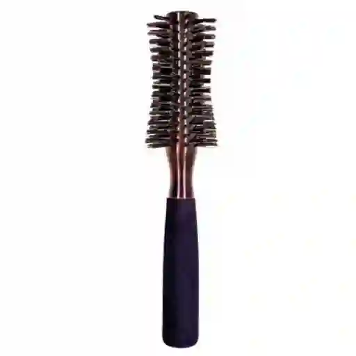 Blomer Cepillo Pro Cerdas Reforzadas Pequeño Ref. 9818