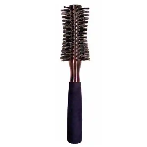 Blomer Cepillo Pro Cerdas Reforzadas Pequeño Ref. 9818