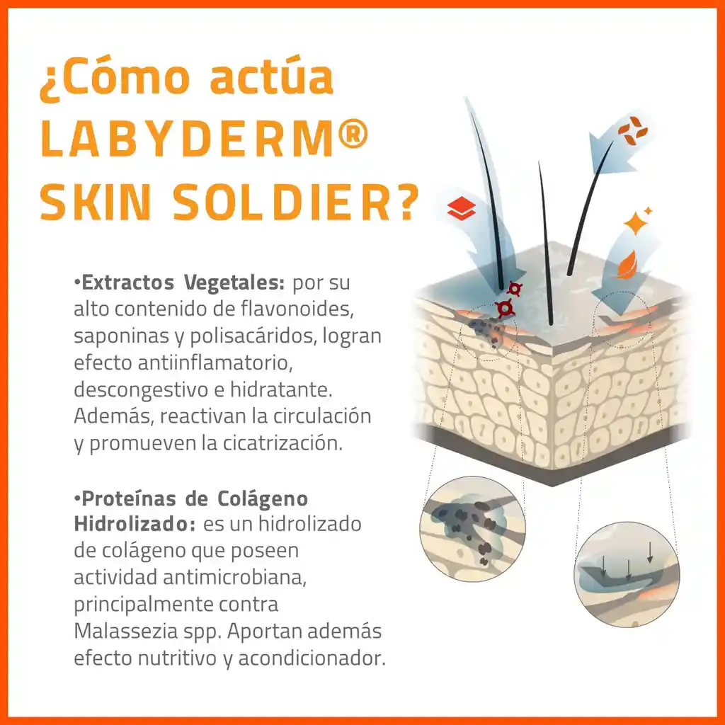 Labyderm Shampoo Skin Soldier X 220ml