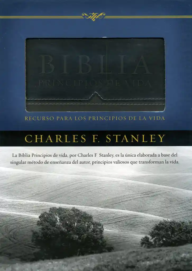 Vida Biblia De Estudio Principios De - Charles Stanley