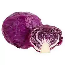 Repollo Morado